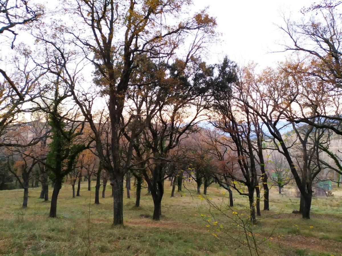 Chalé Xalet De Muntanya